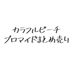 カラフルピーチブロマイド12枚入りのサムネイル