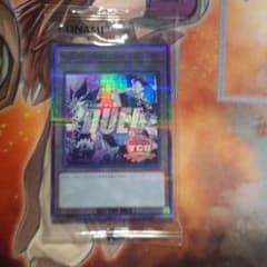 遊戯王】ycsj トークン ノーマルパラレル 遊戯海馬 - メルカリ