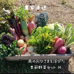 11/3発送予定 農家直送！農薬不使用 Mサイズ 野菜セット　野菜の詰め合わせのサムネイル