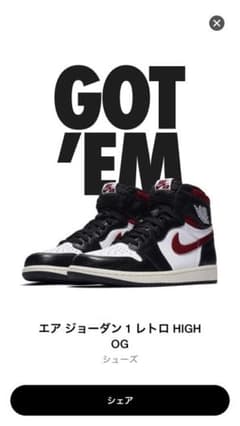 新品 AIR JORDAN1 ジムレッド 27.5cmのサムネイル