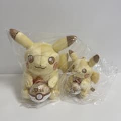 ポケモン 30周年記念ぬいぐるみ ピカピカ！ピカチュウ 30周年記念