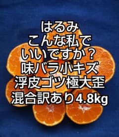 ⑨♧はるみこんな私でいいですか？味バラ小キズ浮皮ゴツ極大歪混合訳あり4.8kgのサムネイル