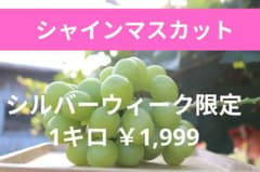購入後収穫発送　シャインマスカット　旬　甘い　糖度上昇　シルバーウィーク　限定のサムネイル