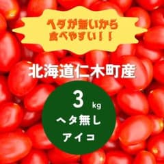 北海道産　ミニトマト　アイコ　ヘタなし　3キロのサムネイル