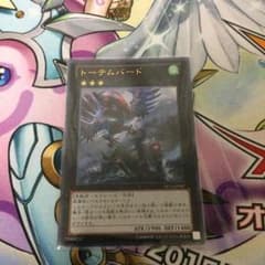 遊戯王 トーテムバードのサムネイル