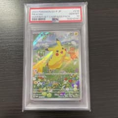 2024 ピカチュウ SUMMER GET CAMPAIGN PACKのサムネイル