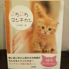ころころマンチカンのサムネイル