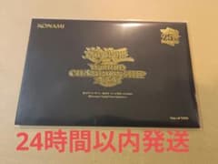遊戯王 WCS2023 記念カード 未開封セットのサムネイル