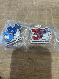ポケモン 30周年 メタルチャーム カイオーガ グラードン - メルカリ
