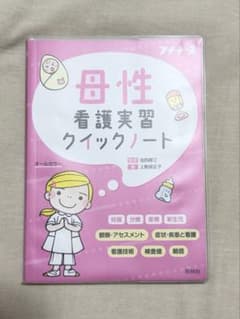 母性看護実習クイックノート【送料込み】のサムネイル