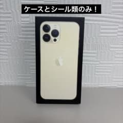 Apple iPhone 13 Pro Max 256GB Goldのケースのみのサムネイル