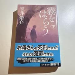 霧をはらう(下)のサムネイル