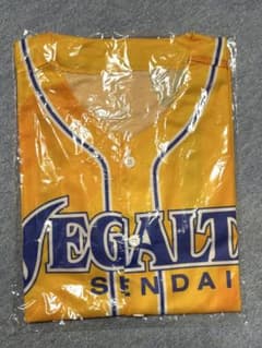 ベガルタ仙台 ユニフォームのサムネイル