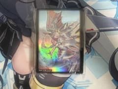 【台湾限定 未開封】妖竜の禁姫 スリーブ アジア 2025のサムネイル