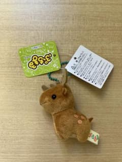 AMUSE ぷちまる トナカイ ぬいぐるみ マスコットのサムネイル