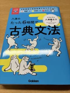 八澤のたった6時間で古典文法のサムネイル