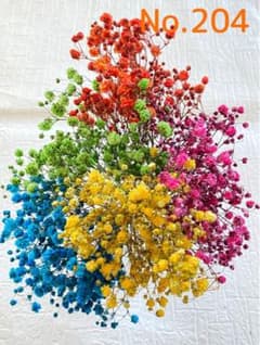 増量タイプ　かすみ草ドライフラワー　5色アソートのサムネイル