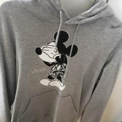 ディズニーパーカーのサムネイル