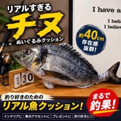 リアル チヌ ぬいぐるみ クッション 40cm クロダイ 魚 釣りのサムネイル