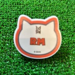 TinyTAN Dynamite Name ☆ 배지 RM