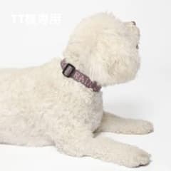 【TT 様専用】BRAINDEAD BONEMAN DOG 首輪リードセット