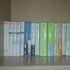 小説 バラ売り 色々のサムネイル
