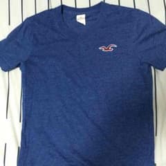 ホリスターのTシャツのサムネイル