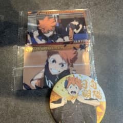 ハイキュー!! 日向翔陽 ブロマイド カード 2種セット缶バッチ付きのサムネイル