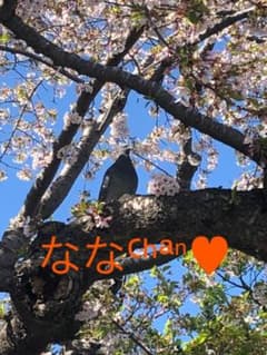 ななᒼᑋªⁿ♥︎のサムネイル