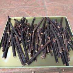 小動物用 かじり木 梨の木50本のサムネイル