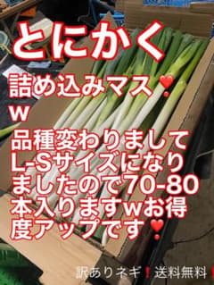 長ネギ❣️訳ありネギ ❣️とにかく詰め込みます❗️w   9.5kg記録　送料込みのサムネイル