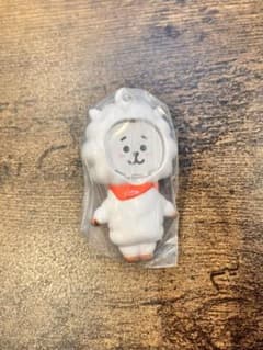 BT21 포토 프레임 마스코트 RJ