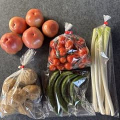 野菜詰め合わせ　ミニトマト　訳ありトマト　白ネギ　きゅうり　じゃがいものサムネイル