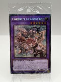 希少 EU版 大輪の霊使い スターライトレア 遊戯王 新品未開封 希少 EU版 大輪の霊使い スターライトレア 遊戯王 新品未開封 - メルカリ