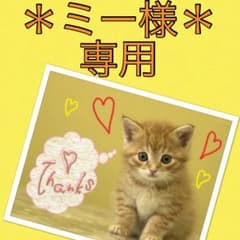＊ミー様＊専用のサムネイル