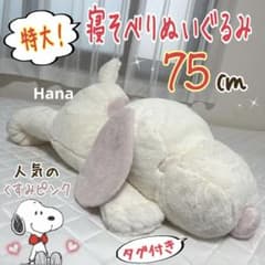 m32957882974_1.jpg?1721016351