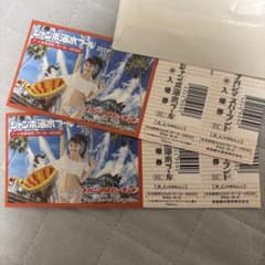 ナガシマジャンボ海水プール 大人入場券 2枚セット　2026のサムネイル
