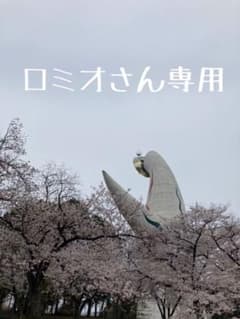 ロミオ様専用　食器セットのサムネイル