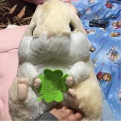 ぬいぐるみのサムネイル