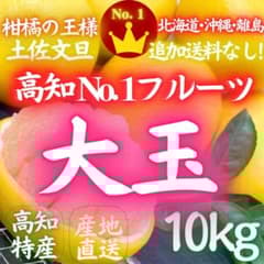 203、高知特産 露地栽培 土佐文旦 3L4L文旦 約10kg 大玉 サイズ - メルカリ