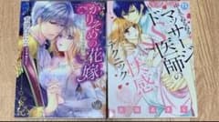 【ともち様専用】TL漫画 2冊セットのサムネイル