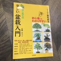 はじめての 楽しい盆栽入門 悩みスッキリ 人気樹種の徹底研究!のサムネイル