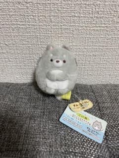 스미코구라시 테노리 봉제인형 코이누 정말 오오카미