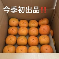柿の名産九度山　刀祢早生訳あり御家庭用7.5キロ（梱包材込み）のサムネイル