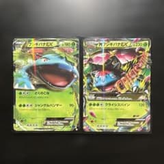 MフシギバナEX＆フシギバナEX 【RR】 XY1 コレクションX - メルカリ