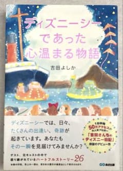 ディズニーシーであった心温まる物語のサムネイル