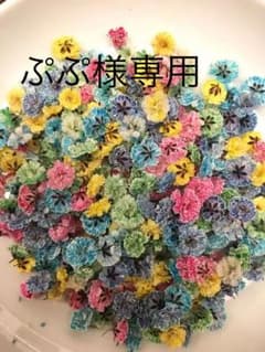 かすみ草ドライフラワー 大粒MIX 100粒のサムネイル