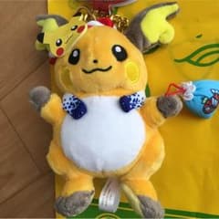 ピカチュウポケモンセンター/ピカチュウぬいぐるみのサムネイル