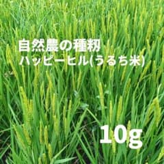 ハッピーヒル(うるち米) 種籾 陸稲 10g天日干し 自然栽培米 - メルカリ