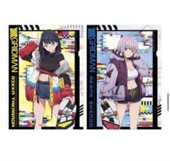 SSSS.GRIDMAN ヴィレッジヴァンガード A4クリアファイル2枚